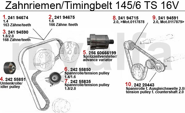 TIMING BELT