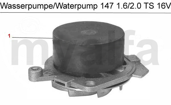 Wasserpumpe