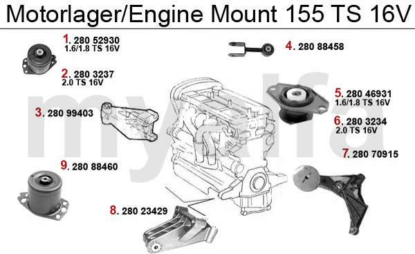 TS16V