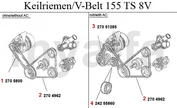 TS 8V