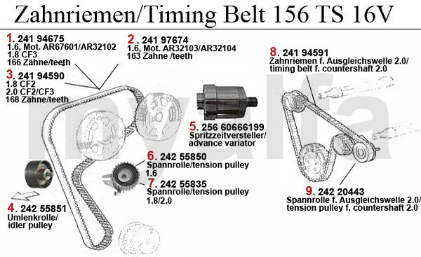 TIMING BELT