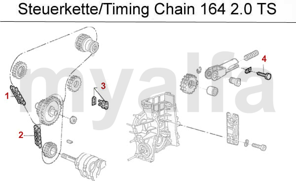 TIMING CHAIN