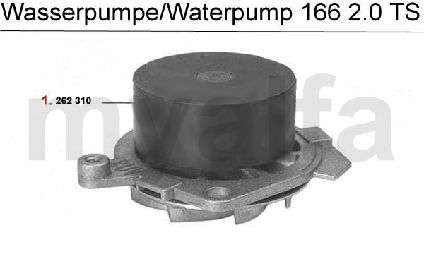 Wasserpumpe