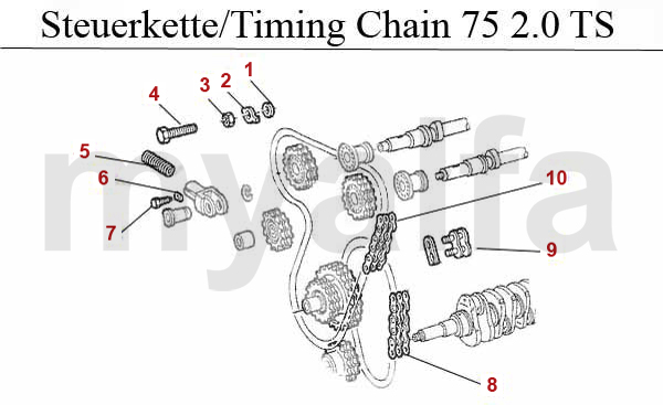 TIMING CHAIN