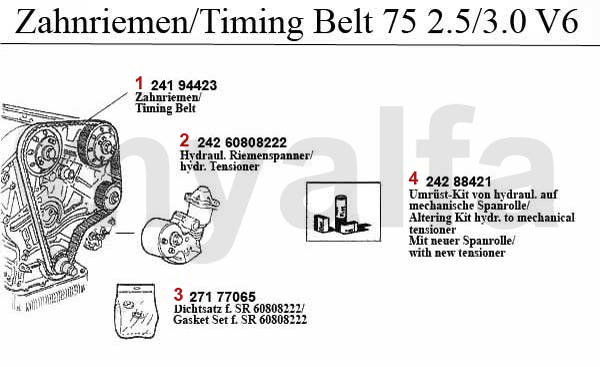 TIMING BELT