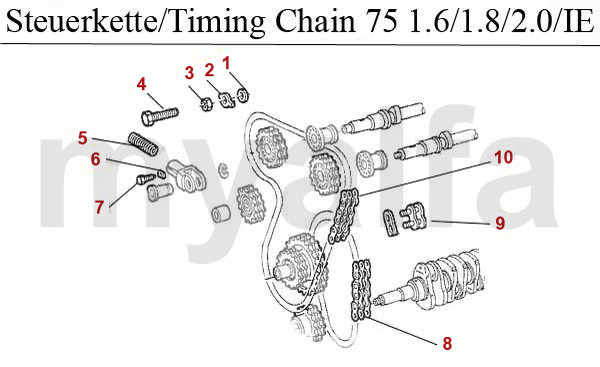 TIMING CHAIN