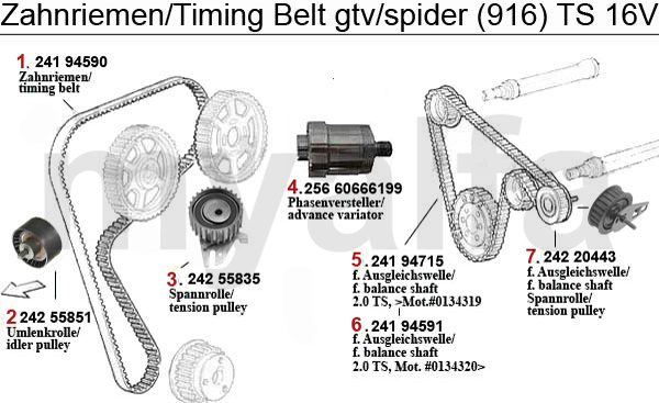 TIMING BELT