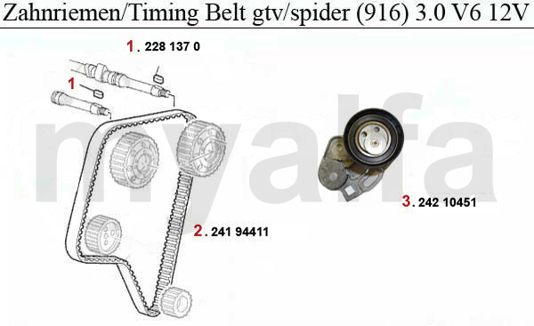 TIMING BELT