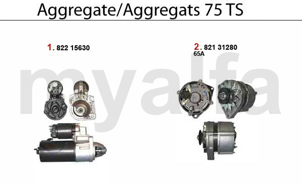 STARTER/ALTERNATOR- TS