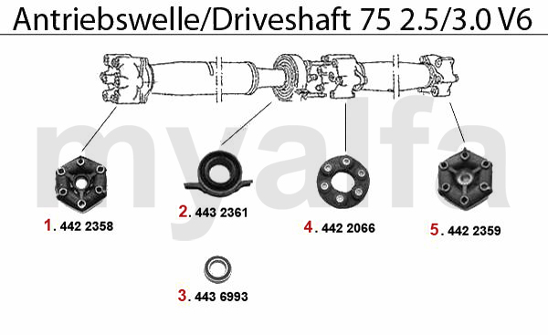 2.5/3.0 V6