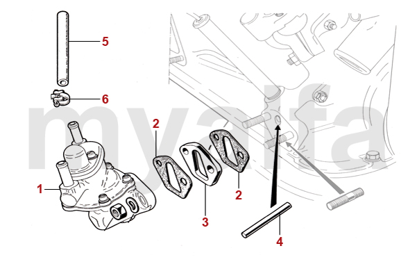 FUEL PUMP/ HOSES