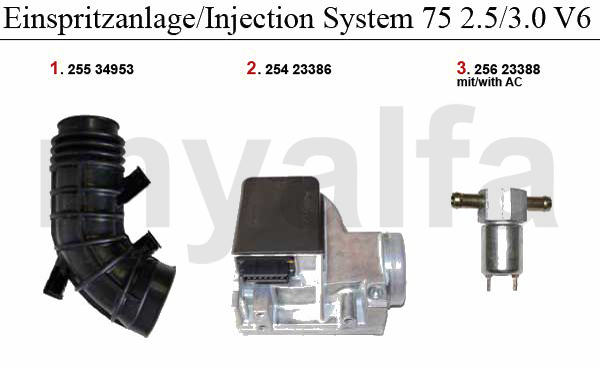 Einspritzanlage 2.5/3.0 V6