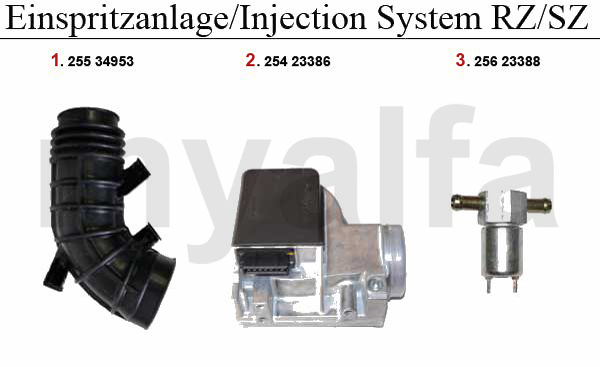 INJECTION SYSTEM