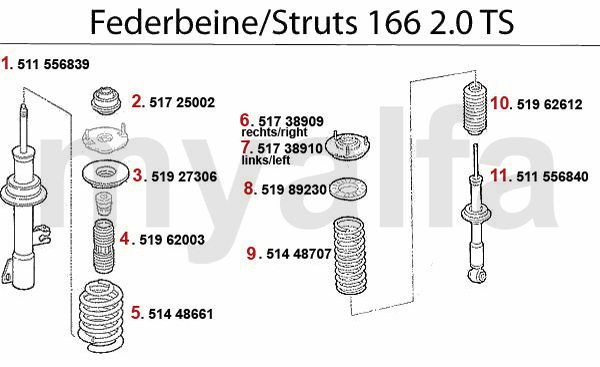 Federbein 2.0 TS