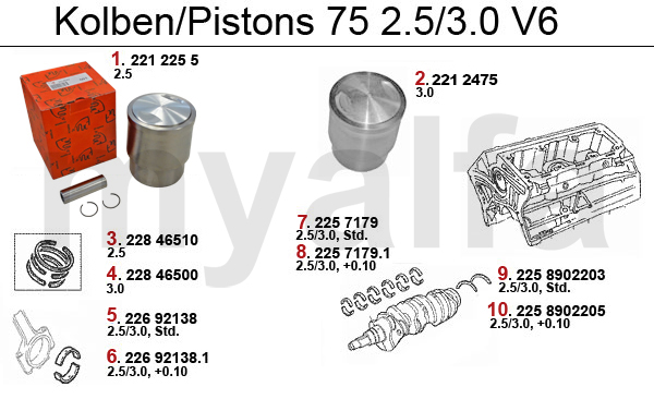 PISTONS/BEARINGS 6-Cyl.