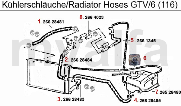 RADIATOR HOSES GTV/6