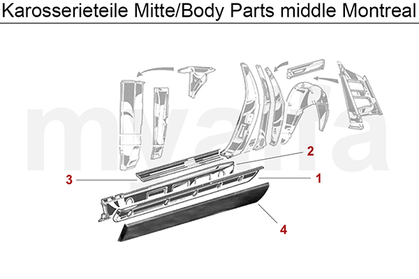 BODY PARTS MIDDLE