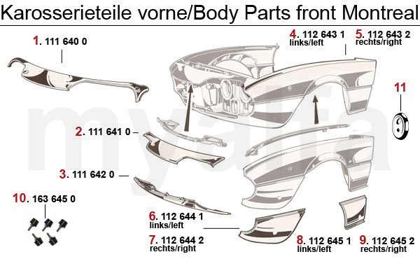 BODY PARTS FRONT