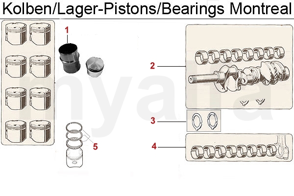 PISTONS/BEARINGS