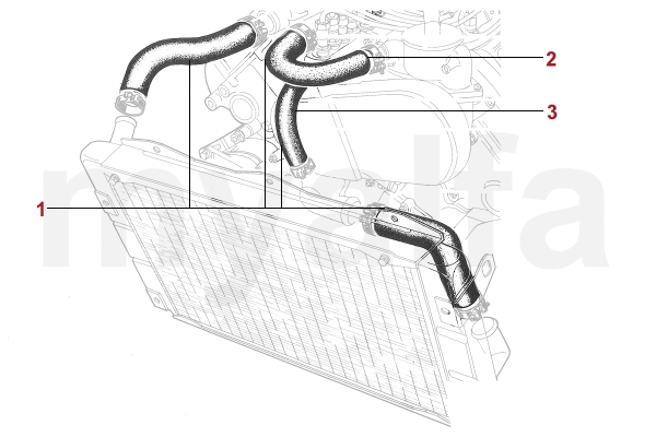 RADIATOR HOSES