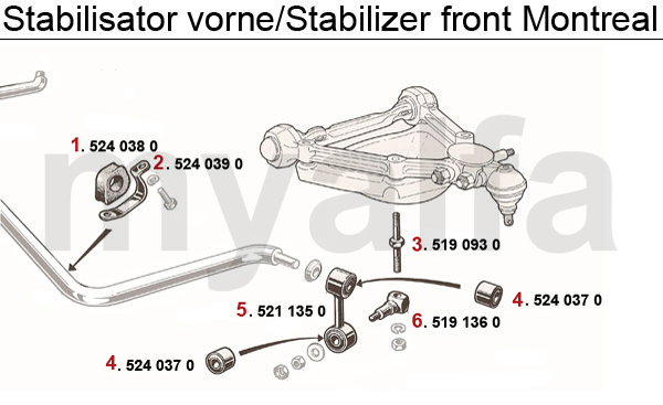 Stabilisator vorne