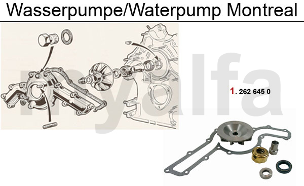 Wasserpumpe