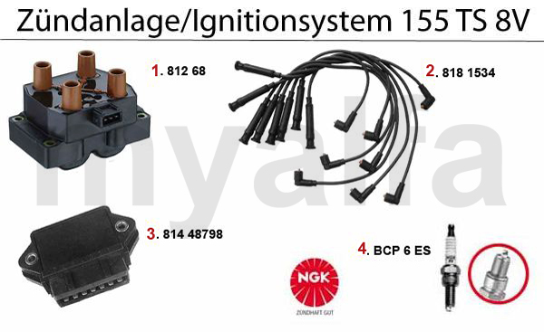 Zündanlage TS 8V