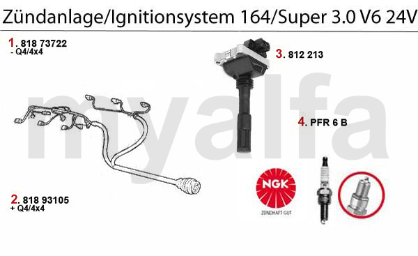 IGNITION SYSTEM 3.0 V6 24V