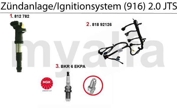 Zündanlage 2.0 JTS