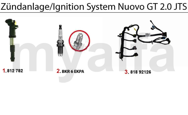 INGNITION SYSTEM JTS