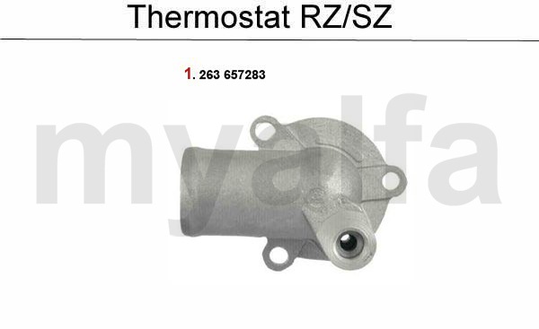 THERMOSTAT