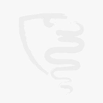 Kühlerschlauch oben lang für Schlauchthermostat - 750/101 Sprint Veloce