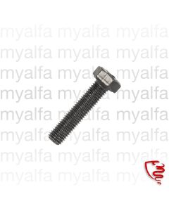 Sechskantschraube             Ölwannenoberteil              M7x1x30