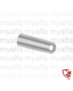 ALUMINIUM PLUG CRANKSHAFT 6 mm