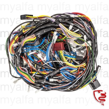 WIRING HARNESS - 101 SPRINT SPECIALE 1600
