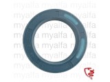 OIL SEAL FOR DIFFERENTIAL      1900, 2000/2600 (102/106)    
