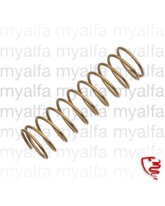 Rückholfeder Bremspedal am Pedal - 750/101