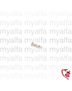 SCREW INDICATOR LENSE SPIDER 1983-93 WHITE FRONT