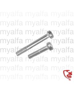 Schraubensatz Blinkerglas Giulia vorne einteiliges Glas