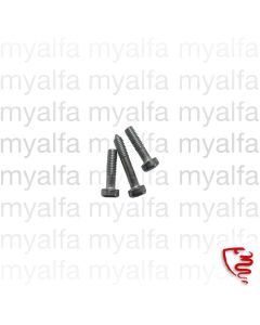 SCREW SET REAR LIGHT LENSE SPIDER 1966-69 