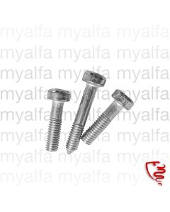 Schraubensatz Rückleuchtenglas Spider Bj.1966-69 