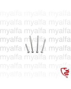 SCREW SET INDICATOR LENSE SPIDER 1966-69 FRONT