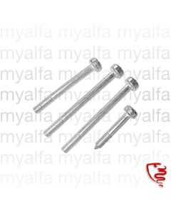 SCREW SET INDICATOR LENSE SPIDER 1966-69 FRONT