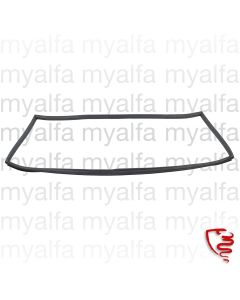 Frontscheibendichtung Spider Bj.1966-69