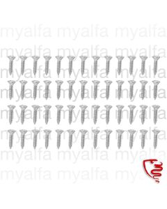 SCREW SET (52 PIECES) FOR CHANNEL SET DOOR SEAL GT BERTONE