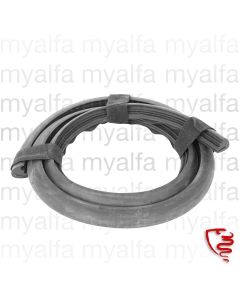 Motorhaubendichtung - Spider 750/101