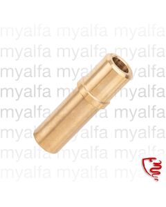 Ventilführung - 1900