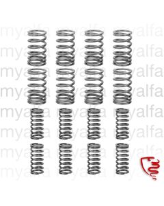SET VALVE SPRINGS 16 PIECES 