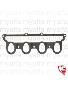 Ansaugbrückendichtung Einspritzer