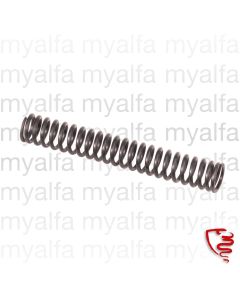 CHAIN TENSIONER SPRING